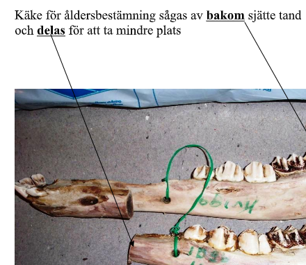 Klicka på bilden för större text.